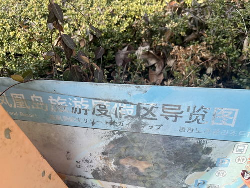 記者在現場 導覽裝置無人維護 市民呼吁加強管理