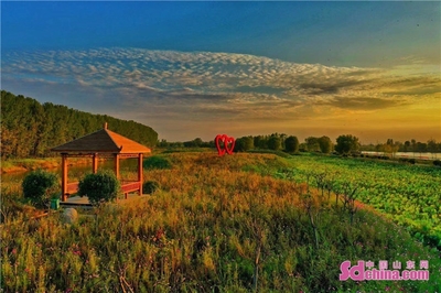 萬畝荷花 碧波蕩漾,微山湖旅游區(qū)被確定為5A級旅游景區(qū)!