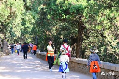 數(shù)據(jù) | 客流分析研判:8天假期泰山游客或將增加5%,泰山人已準備好!_財經_網