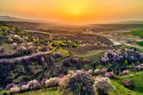 中國旅游集團(tuán)打造 興疆 之旅