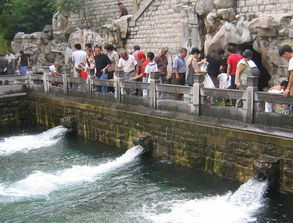 助力保泉 濟南5個滲漏區(qū)明年將修復(fù)