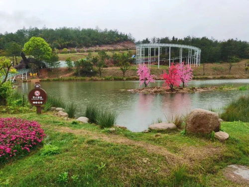 龜峰景區(qū) 五一 假期游覽須知